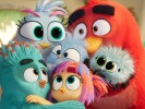 Angry-Bird-3-2026 (2)