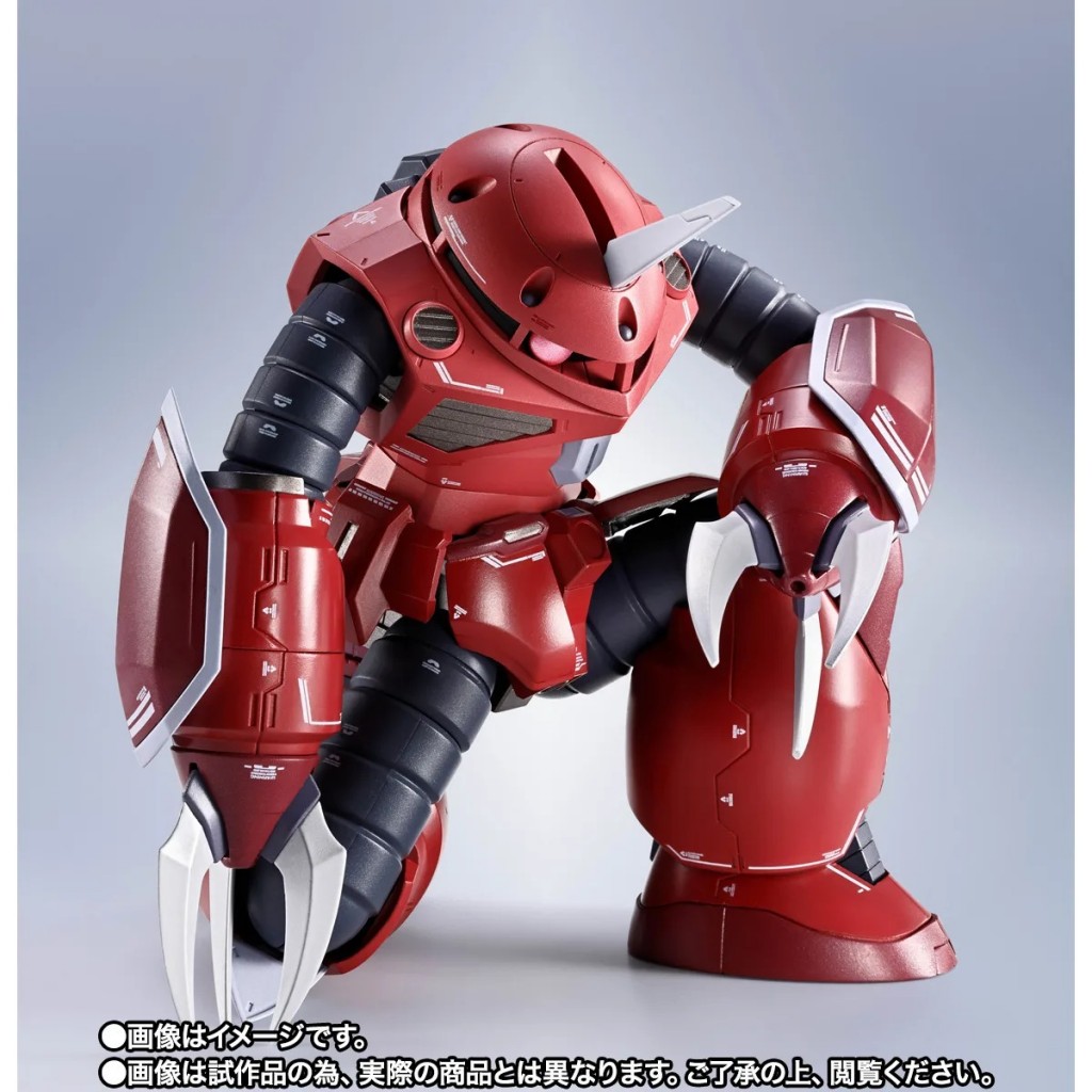 METAL ROBOT SPIRITS Z’Gok (SEED FREEDOM Ver.) (11)