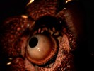 Ugly  games 2026 (9)