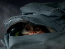Gremlin 3