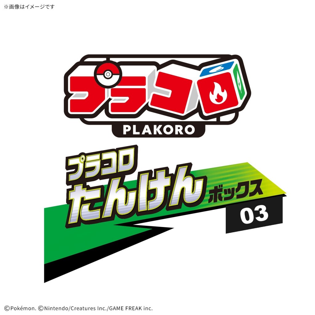 plakoro-new-release (14)